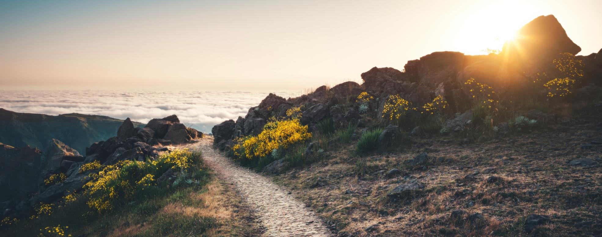 Chemin vers un coucher de soleil