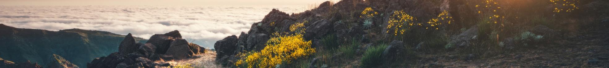 Chemin vers un coucher de soleil