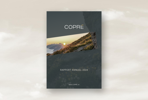 Rapport annuel 2024
